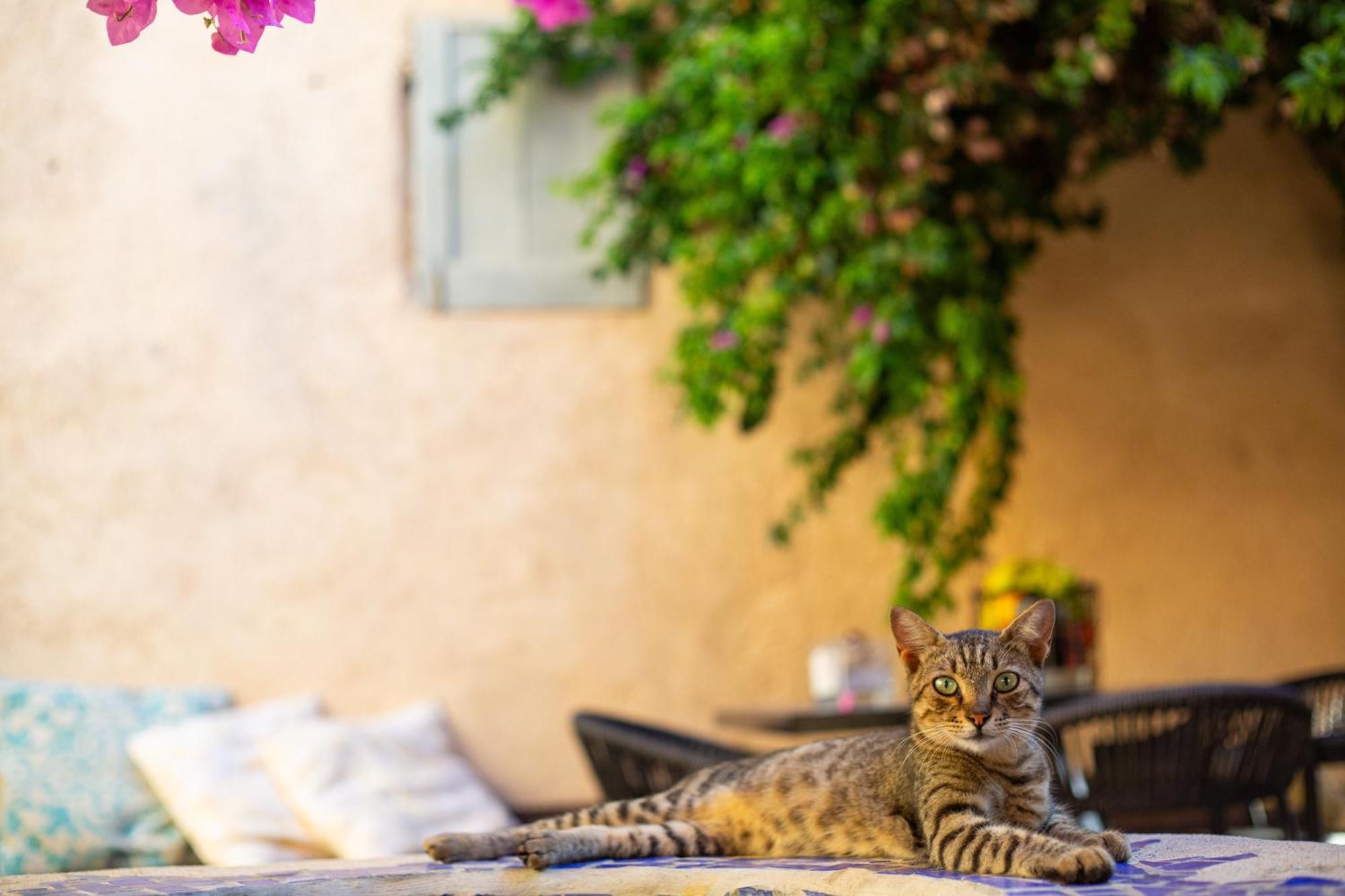 شقة The Old Town House Rhodes City المظهر الخارجي الصورة